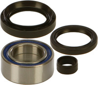 ALL BALLS All Balls Wheel Bearing Kits