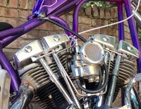 OLD STF Bee Blocker Carb Cover