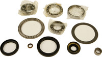 ALL BALLS Differential Bearing & Seal Kit