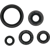 VERTEX Oil Seal Set