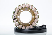 RICK'S MOTORSPORT ELECTRIC Stator
