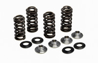 KPMI Racing Valve Spring Kit