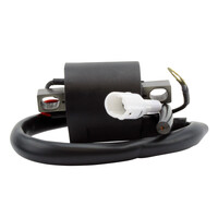 RM STATOR External Ignition Coils