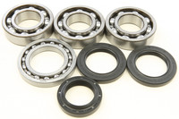 ALL BALLS Crankshaft Bearing &amp; Seal Kit
