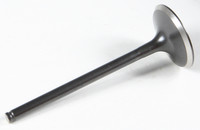 KPMI Intake Valve