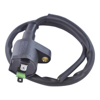 RM STATOR External Ignition Coils