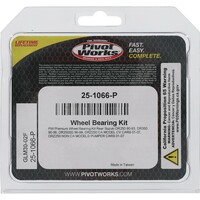 PIVOT WORKS Premium Wheel Bearing Kit
