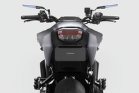 RIZOMA Flat-Out Fender Eliminator