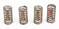 PRO CIRCUIT Clutch Spring Set