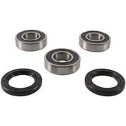 PIVOT WORKS Wheel Bearing & Seal Kit