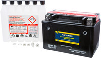 FIRE POWER Maintenance Free Sealed Battery