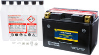 FIRE POWER Maintenance Free Sealed Battery