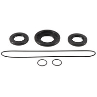 ALL BALLS DIFFERENTIAL SEAL KIT