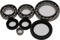 ALL BALLS Differential Bearing & Seal Kit