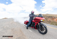 SHINKO Shinko Ultraboard