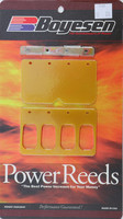 BOYESEN Dual Stage Power Reeds