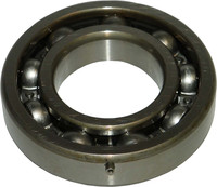 WSM Crankshaft Bearing