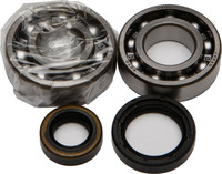 ALL BALLS Crankshaft Bearing & Seal Kit