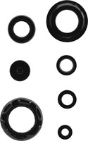 K&S Engine Oil Seal Kit