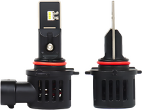 PATHFINDER High Intensity Light Bulb HI/LO