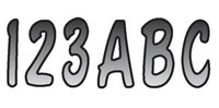 (SILVER/BLACK)