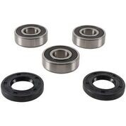 Pivot Works Front Wheel Bearing Kit