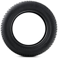 KENDA Kanine Tire