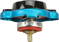 FirePower Radiator Cap with Temperature Gauge Honda/Kawasaki/Suzuki/Yamaha 1990-2019 012314514
