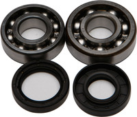 ALL BALLS Crankshaft Bearing & Seal Kit