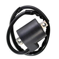 RM STATOR External Ignition Coil