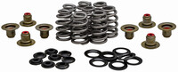 KPMI Valve Spring Kit