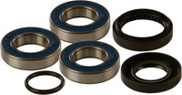 ALL BALLS All Balls Wheel Bearing Kits