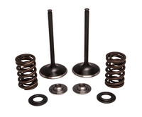 KPMI Intake Valve Spring Kit