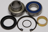 ALL BALLS Chaincase Bearing and Seal Kit