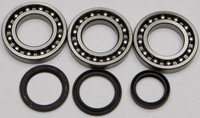 ALL BALLS Differential Bearing & Seal Kit