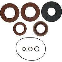 ALL BALLS TRANSAXLE SEAL KIT