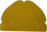 HIFLOFILTRO Air Filter