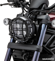 ZETA Headlight Guard