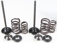 KPMI Intake Valve Spring Kit