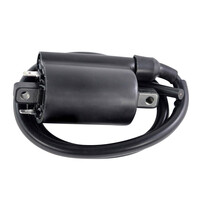 RM STATOR External Ignition Coils