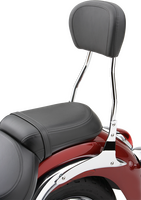 COBRA Round Sissy Bar Kit