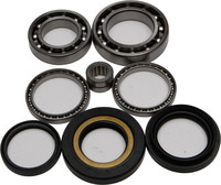 ALL BALLS Differential Bearing & Seal Kit