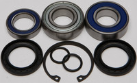 ALL BALLS Chaincase Bearing and Seal Kit