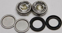 ALL BALLS Swingarm Bearing Kit