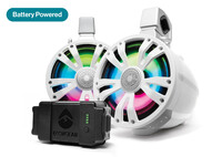 ECOXGEAR ETB08 Amplified Tower Speakers