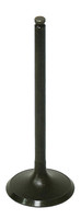 BRONCO Intake Valve