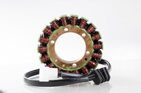 RICK'S MOTORSPORT ELECTRIC Stator