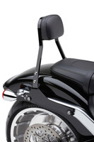 COBRA Detach Backrest Mini