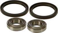 ALL BALLS All Balls Wheel Bearing Kits