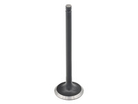 BRONCO Exhaust Valve